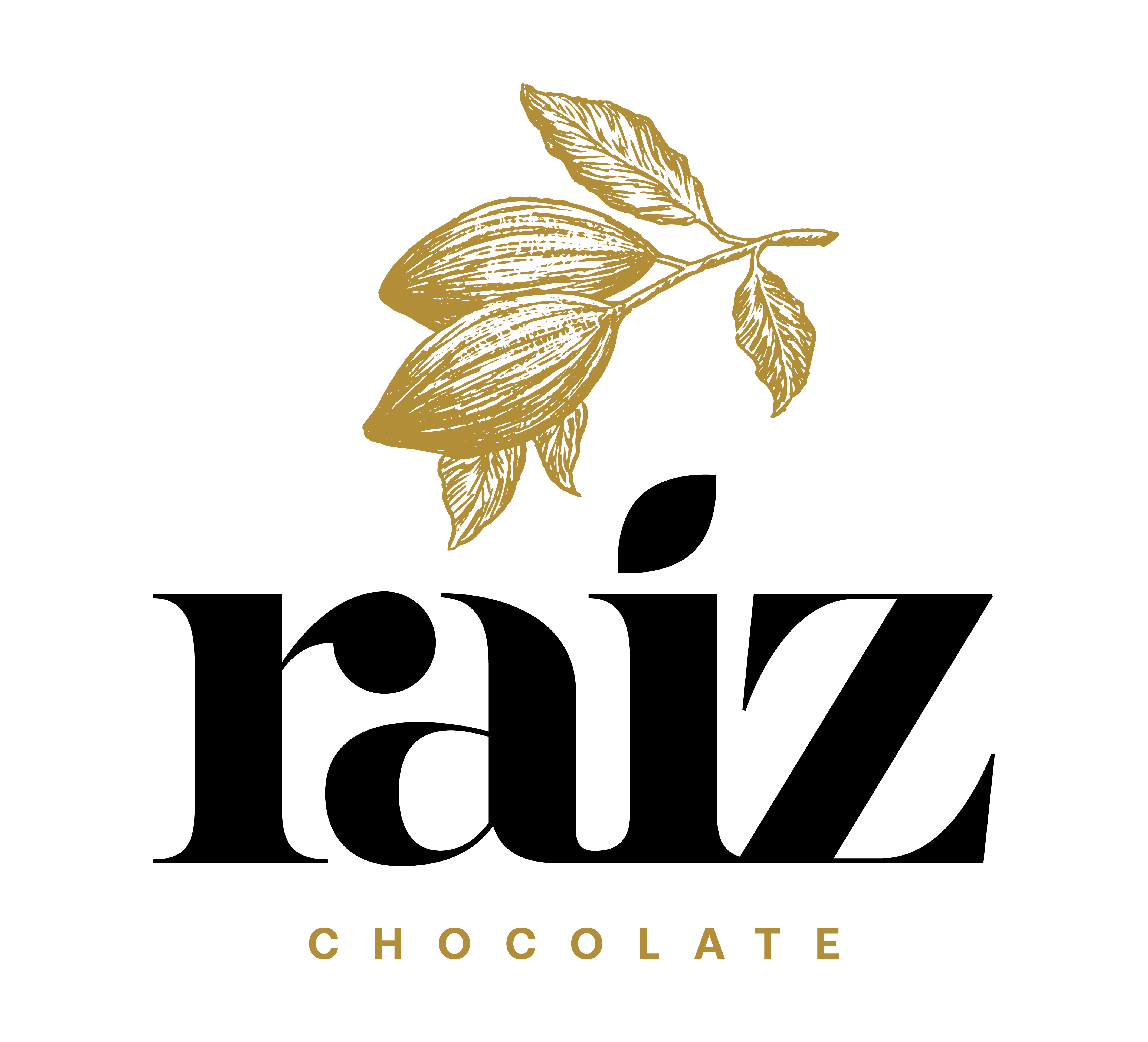 Raíz Chocolate logo