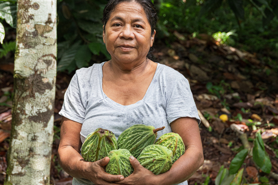 Woman holding green cacao fruits in a forest setting