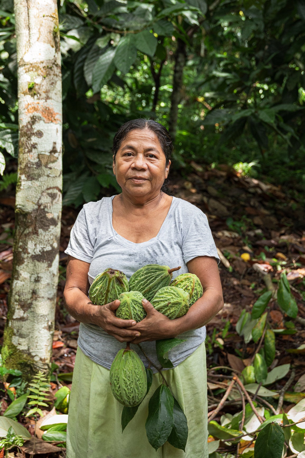 Woman holding green cacao fruits in a forest setting