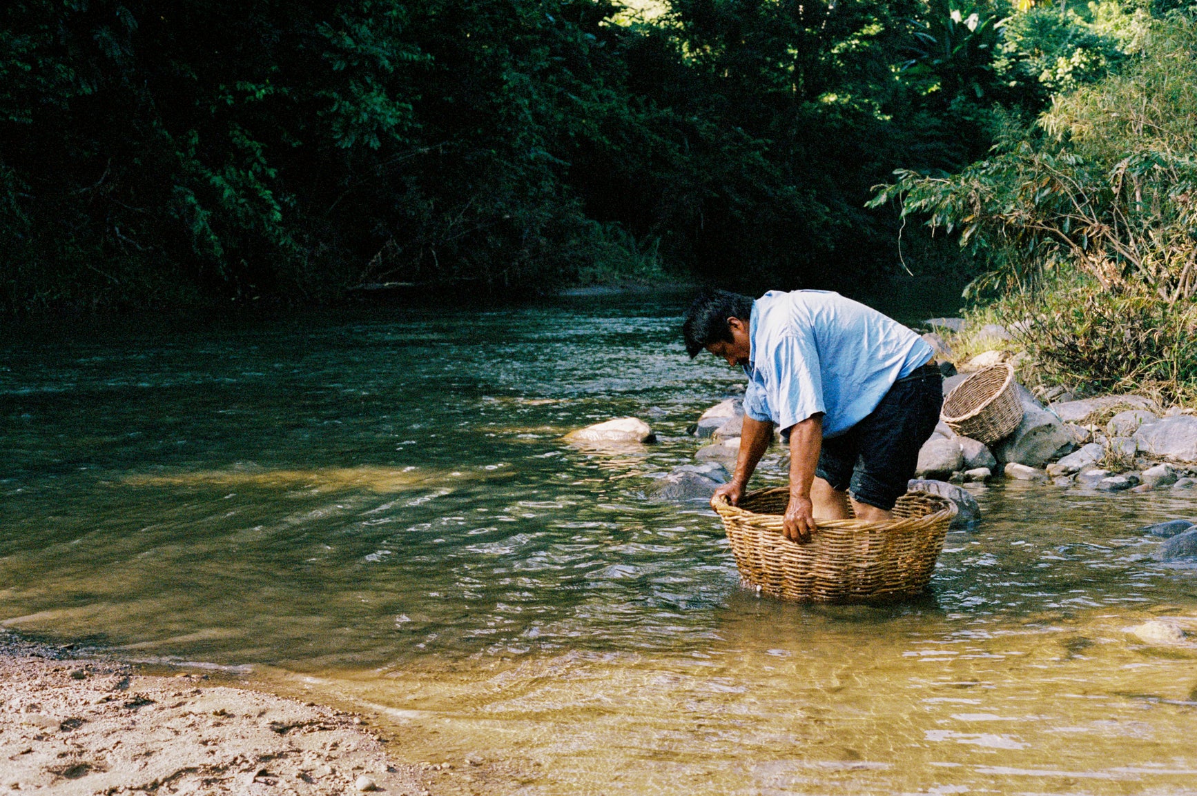 Man washing cacao on a basket in a river